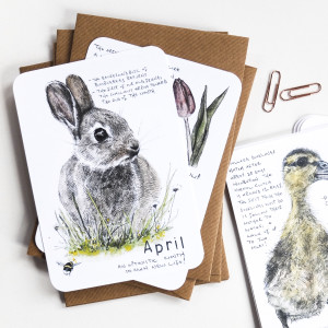 Hannah Longmuir’s Wild Months set of 12 cards feature drawings and notes about what to look out for each month in nature.  