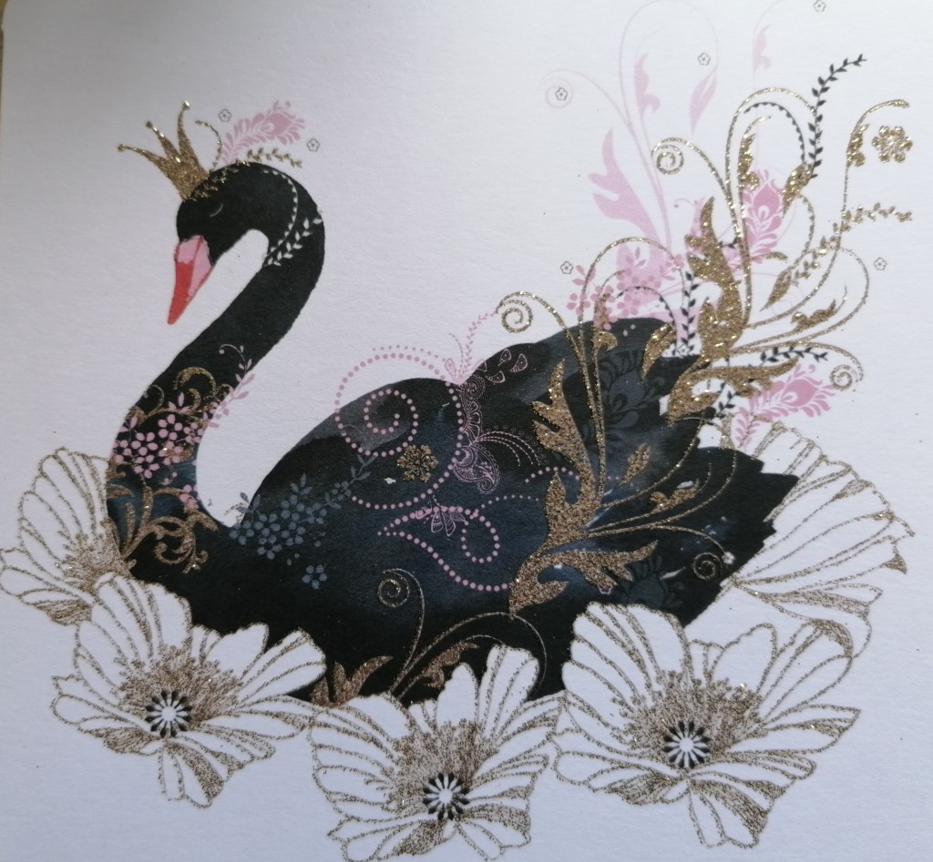 Above: Dawlish’s black swans are very popular with visitors and locals, which helps boost sales of this design from Nigel Quiney’s Pizzaz range.