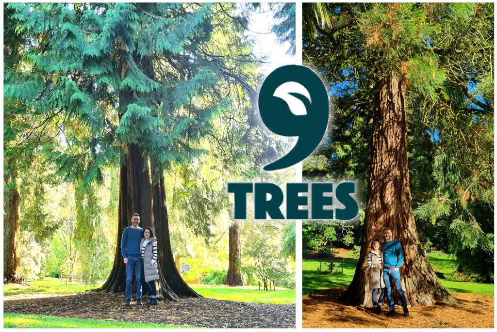 Above & top: Anna and Troy have partnered with 9Trees