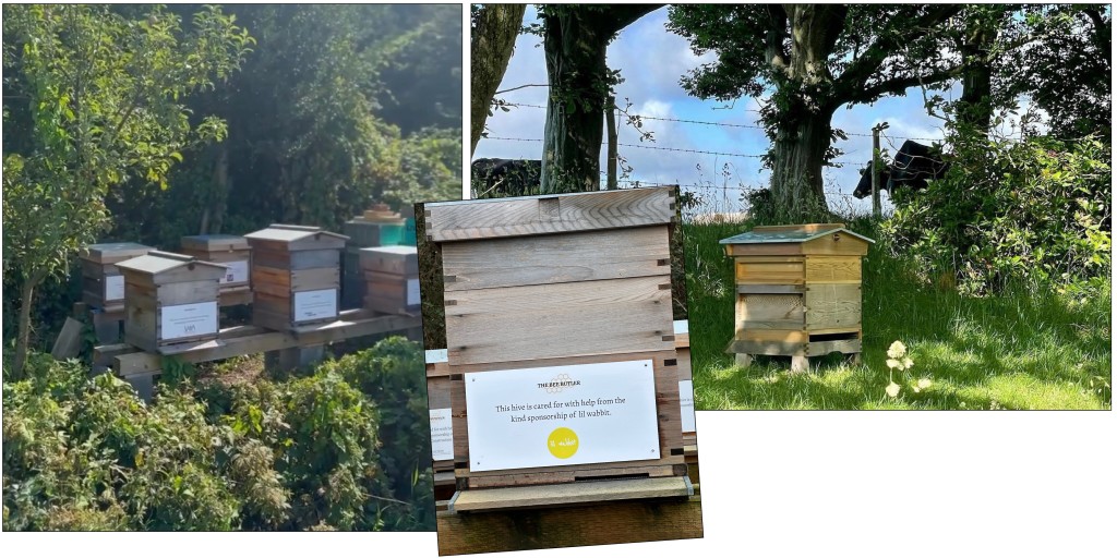 Above: The Lil Wabbit hive is among a number sponsored at the Bee Butler