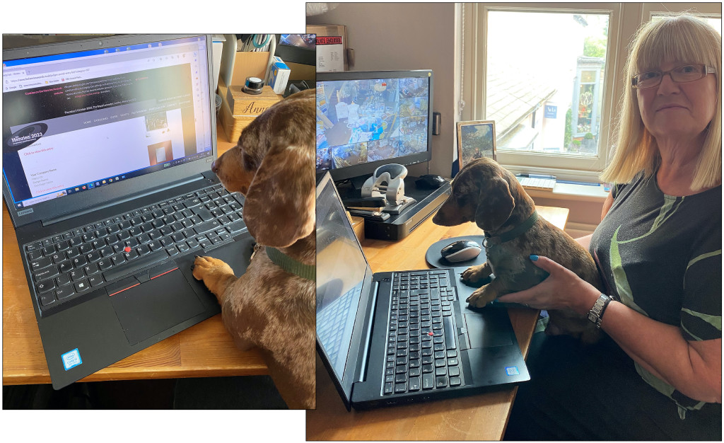 Above: In Heaven At Home’s Anne Barber had some perfectly-named help from Henry the dachshund during the 2023 online judging