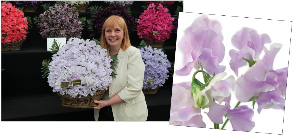 Above: Sweet Pea Helen Millar is named after Helen Dyson’s late best friend and the card raises money for MNDA