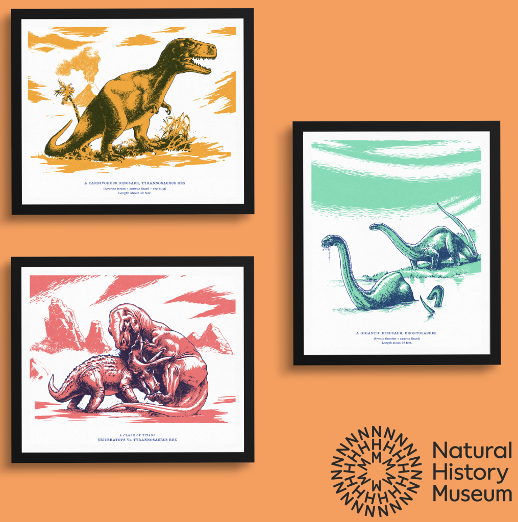 Above: Dinosaur prints are available in the collection